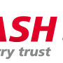 logo_flash.png